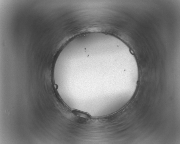 X0000063450297200602031815