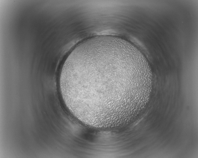 X0000063450298200602031815