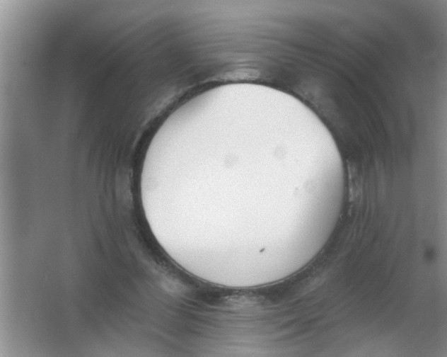 X0000063450300200602031815