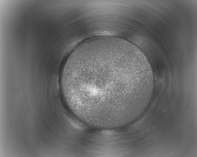 X0000063450302200602031815