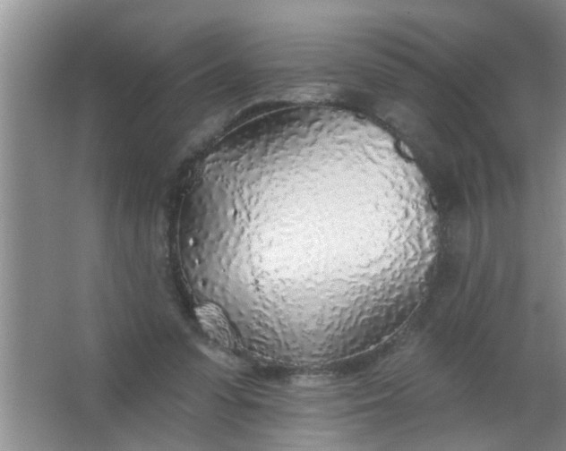 X0000063450303200602031815