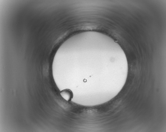 X0000063450304200602031815