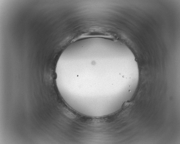 X0000063450305200602031815