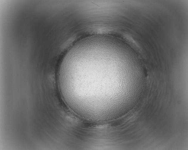 X0000063450306200602031815