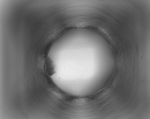 X0000063450307200602031815