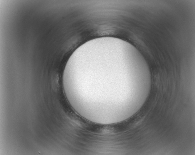 X0000063450308200602031815