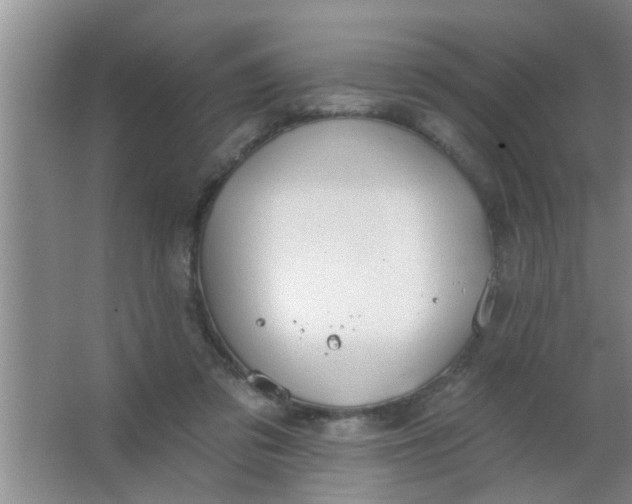 X0000063450309200602031815