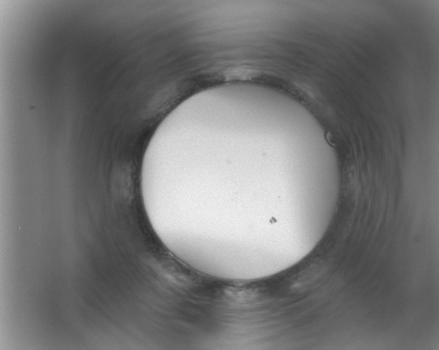 X0000063450311200602031815