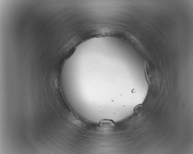 X0000063450313200602031815