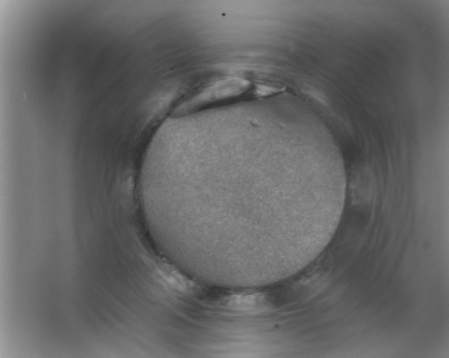 X0000063450314200602031815