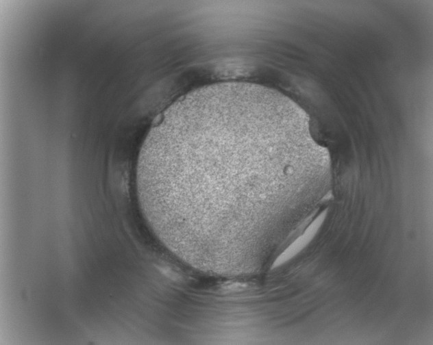 X0000063450315200602031814