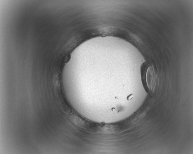 X0000063450317200602031814