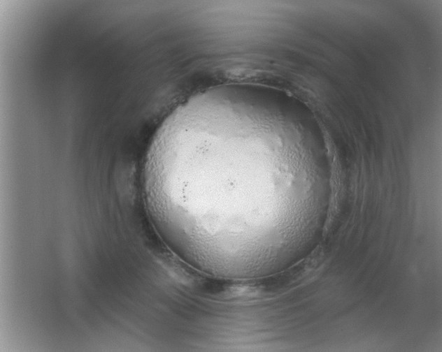 X0000063450319200602031814