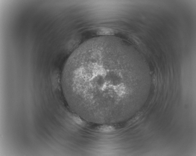 X0000063450322200602031814