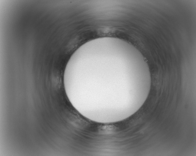 X0000063450324200602031814