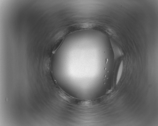 X0000063450325200602031814