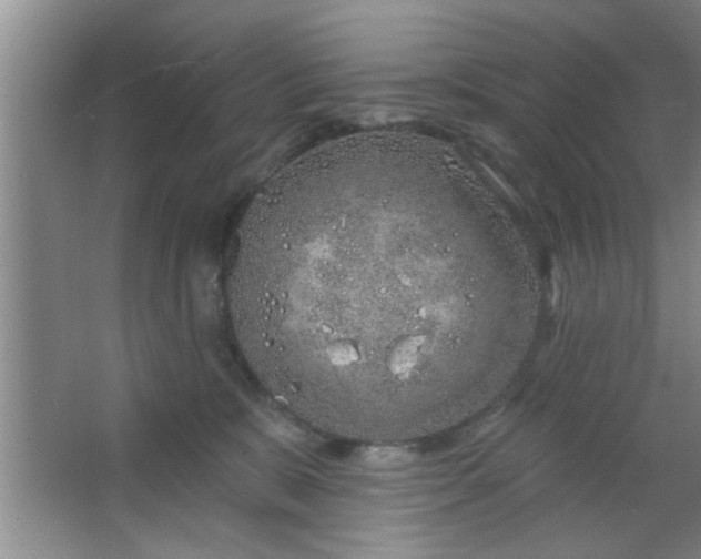 X0000063450327200602031814