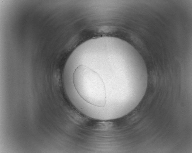 X0000063450328200602031814