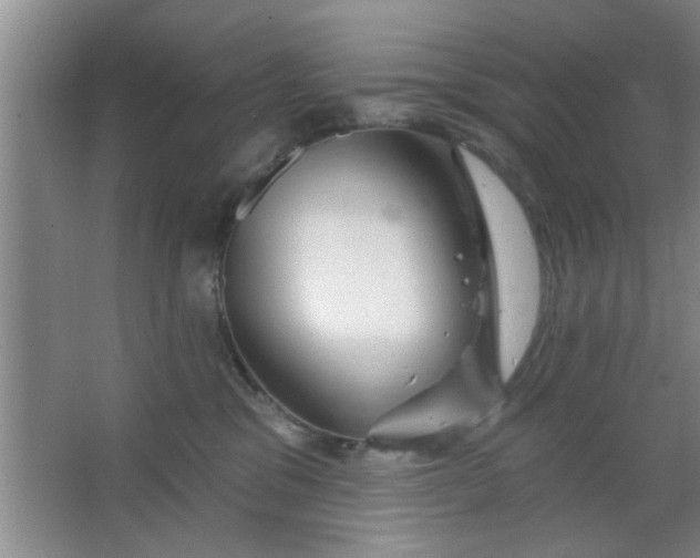 X0000063450329200602031814