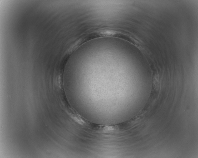 X0000063450330200602031814