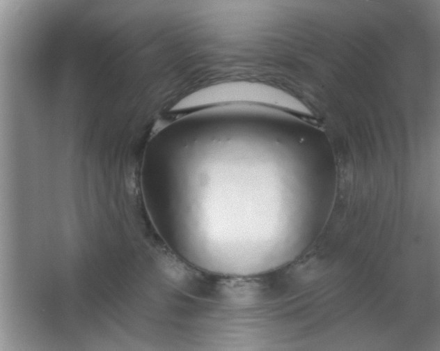 X0000063450331200602031814