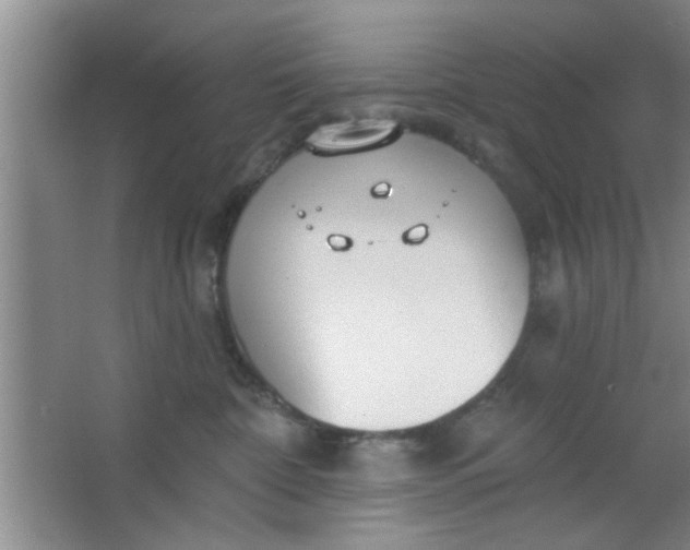 X0000063450332200602031814