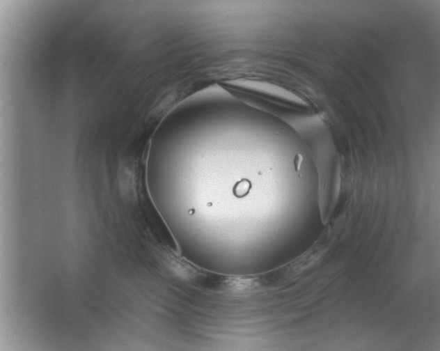 X0000063450333200602031814