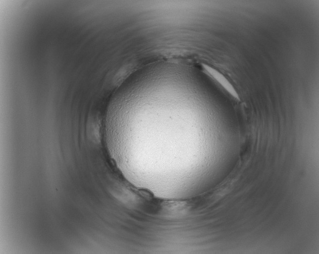 X0000063450334200602031814