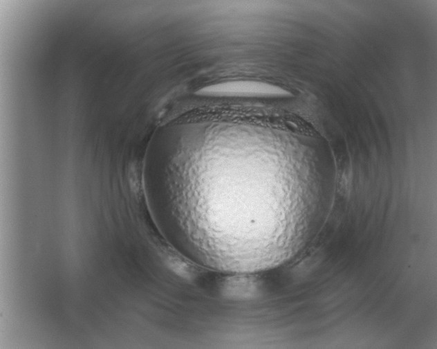 X0000063450335200602031814