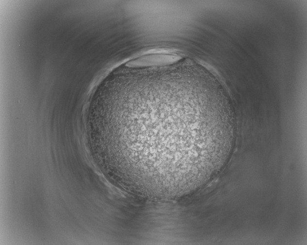 X0000063450337200602031813