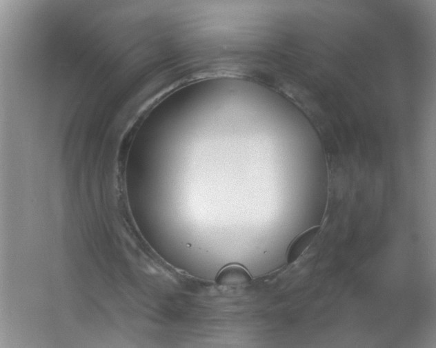 X0000063450338200602031813