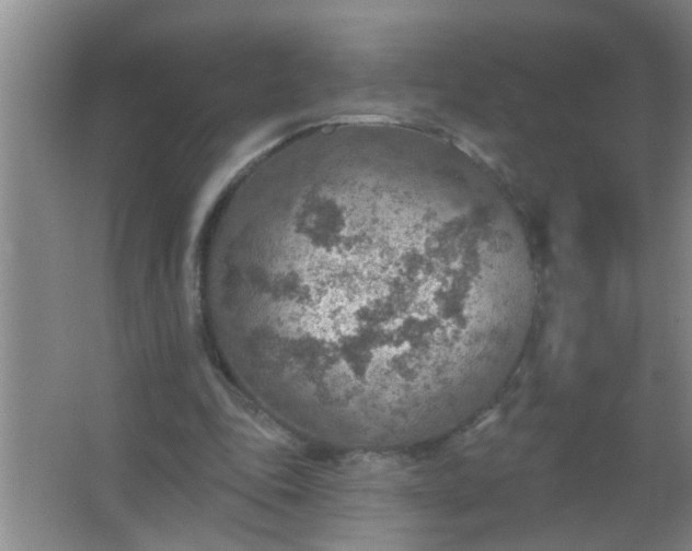 X0000063450343200602031813