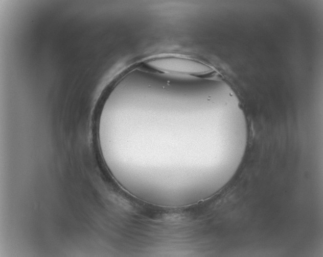 X0000063450344200602031813