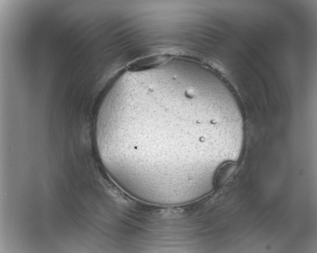 X0000063450345200602031813