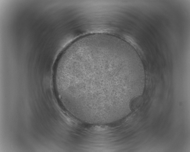 X0000063450346200602031813