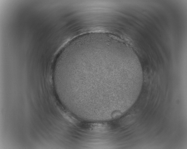 X0000063450347200602031813