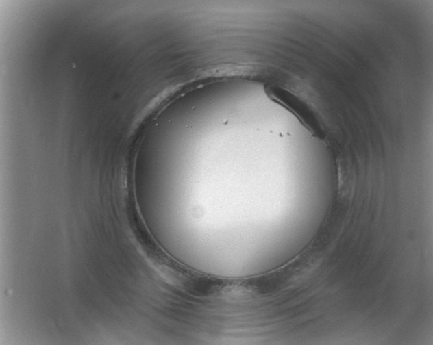 X0000063450348200602031814