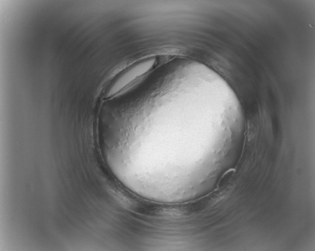 X0000063450349200602031814