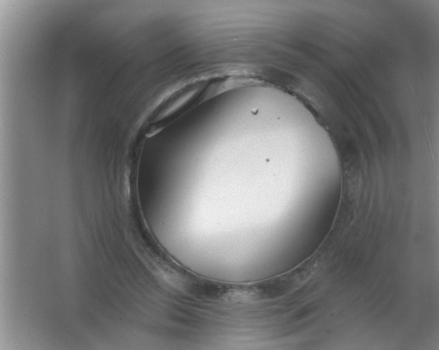 X0000063450350200602031814