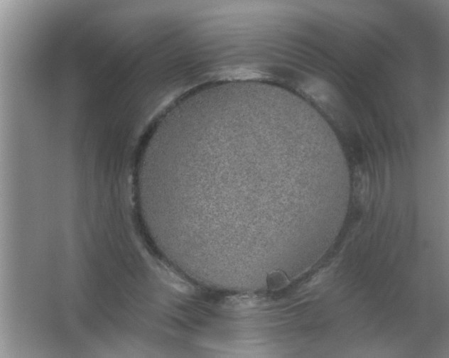 X0000063450351200602031814