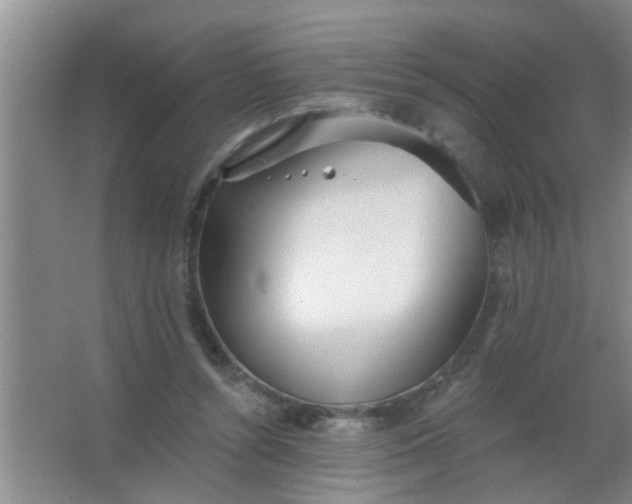 X0000063450352200602031814