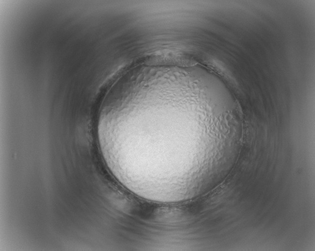 X0000063450354200602031814