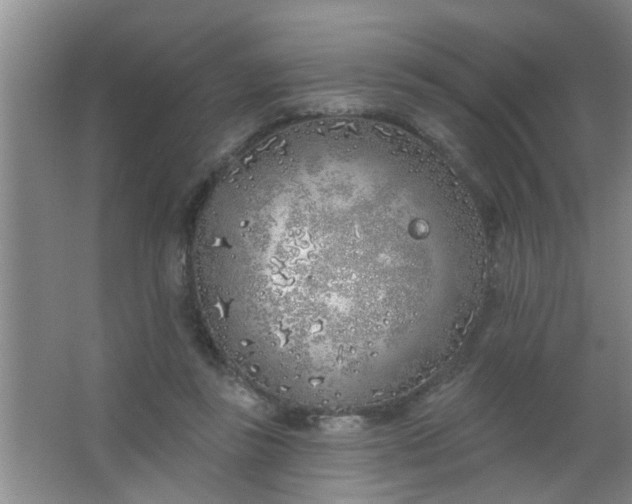 X0000063450355200602031814