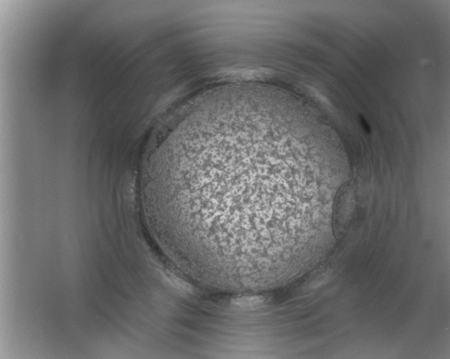 X0000063450357200602031814