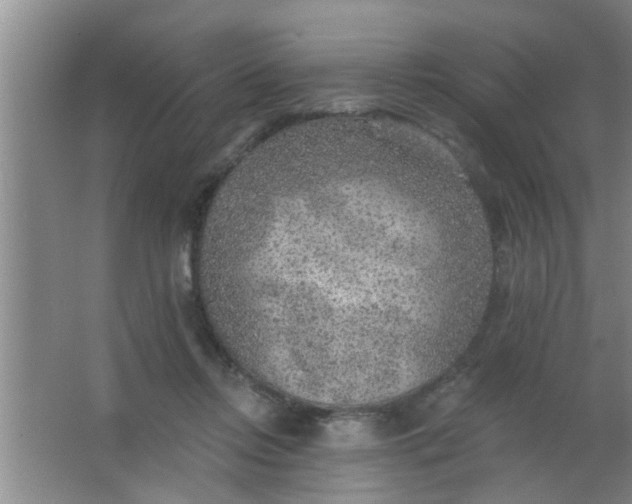 X0000063450358200602031814