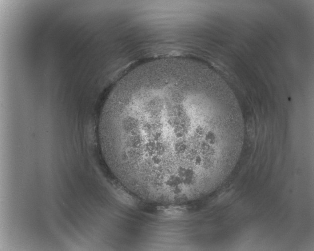 X0000063450359200602031814