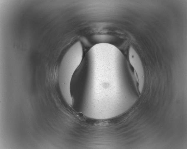 X0000063450362200602031814