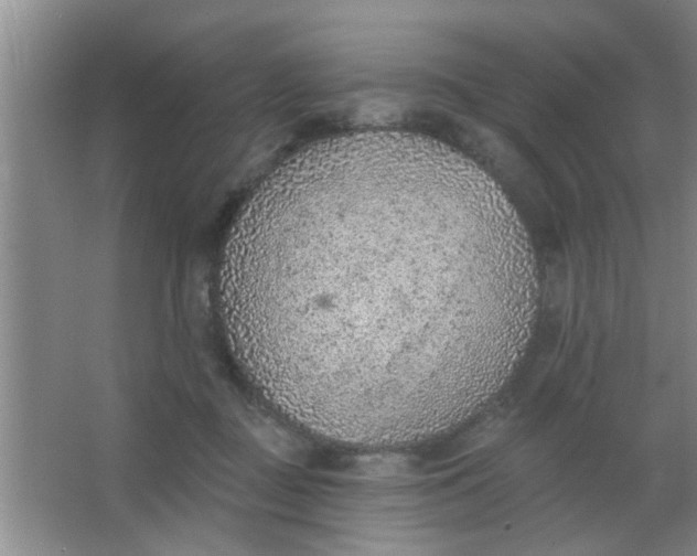 X0000063450363200602031814