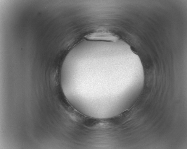 X0000063450364200602031814