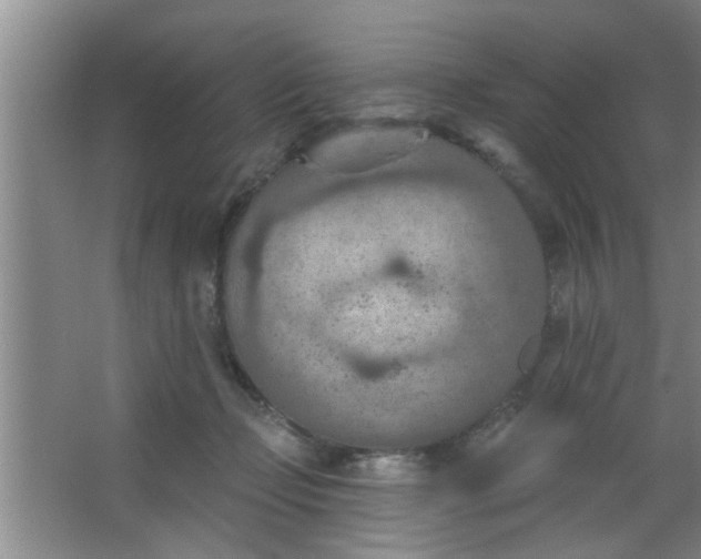 X0000063450365200602031814